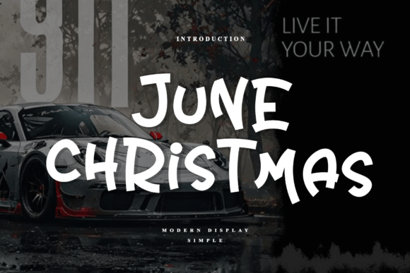 June Christmas: A Timeless Handwritten Display Font for Branding